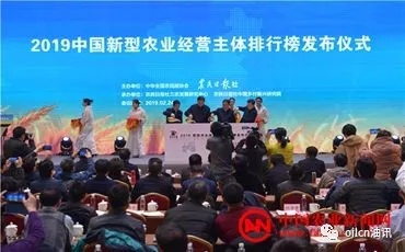 体育博彩网站